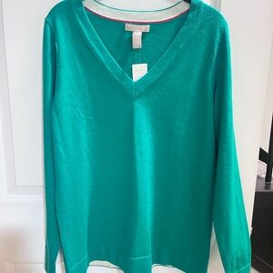 Banana Republic Green V-Neck Sweater